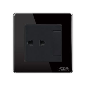 2 Pole Socket With Switch