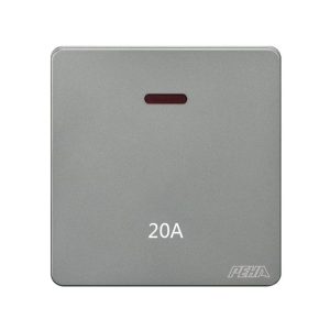 20A DP Switch